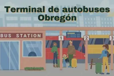 Central de autobuses de Obregón: dirección, teléfono y horarios 57 Central camionera Obregón