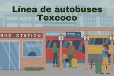 Empresa de autobuses Texcoco