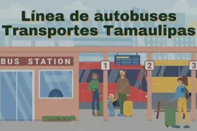 Empresa de autobuses Transportes Tamaulipas