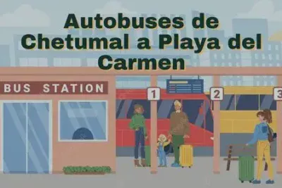 Autobuses de Chetumal a Playa del Carmen: Horarios, boletos y tarifas 58 Camiones de Chetumal a Playa del Carmen