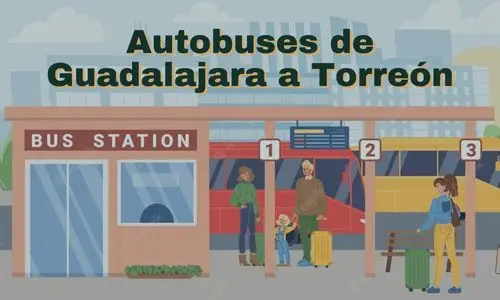 Camiones de Guadalajara a Torreón