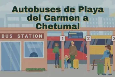 Autobuses de Playa del Carmen a Chetumal: Horarios, boletos y tarifas 8 Camiones de Playa del Carmen a Chetumal