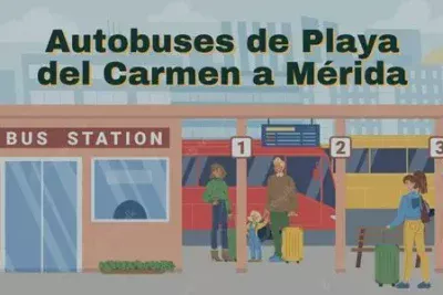 Autobuses de Playa del Carmen a Mérida: Horarios, boletos y tarifas 41 Camiones de Playa del Carmen a Mérida