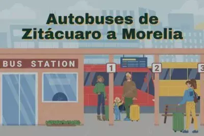 Autobuses de Zitácuaro a Morelia: Horarios, boletos y tarifas 49 Camiones de Zitácuaro a Morelia