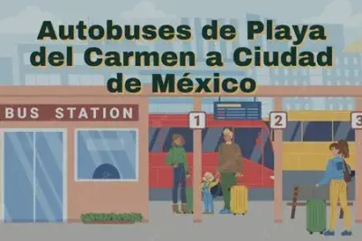 Camiones de Playa del Carmen a Ciudad de México